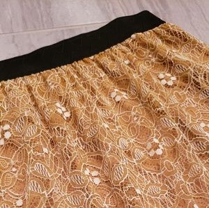 Lularoe Lola Skirt Medium